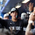 Yankees’ 19-year-old top prospect has sights set on the Bronx