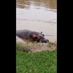 Death toll from a boat capsizing in Congo earlier this week rises to 148, officials say