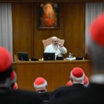 Pope Leo signals he will closely follow Francis and says AI represents challenge for humanity