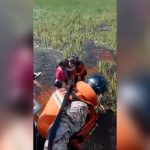 Five people rescued almost two days after plane crashes into alligator-infested swamp